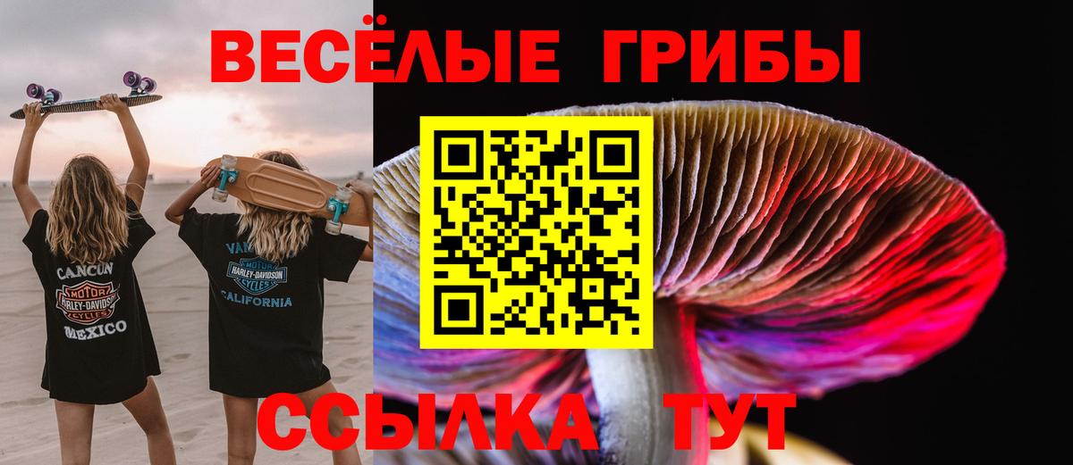 Галлюциногенные грибы ЛСД Донской